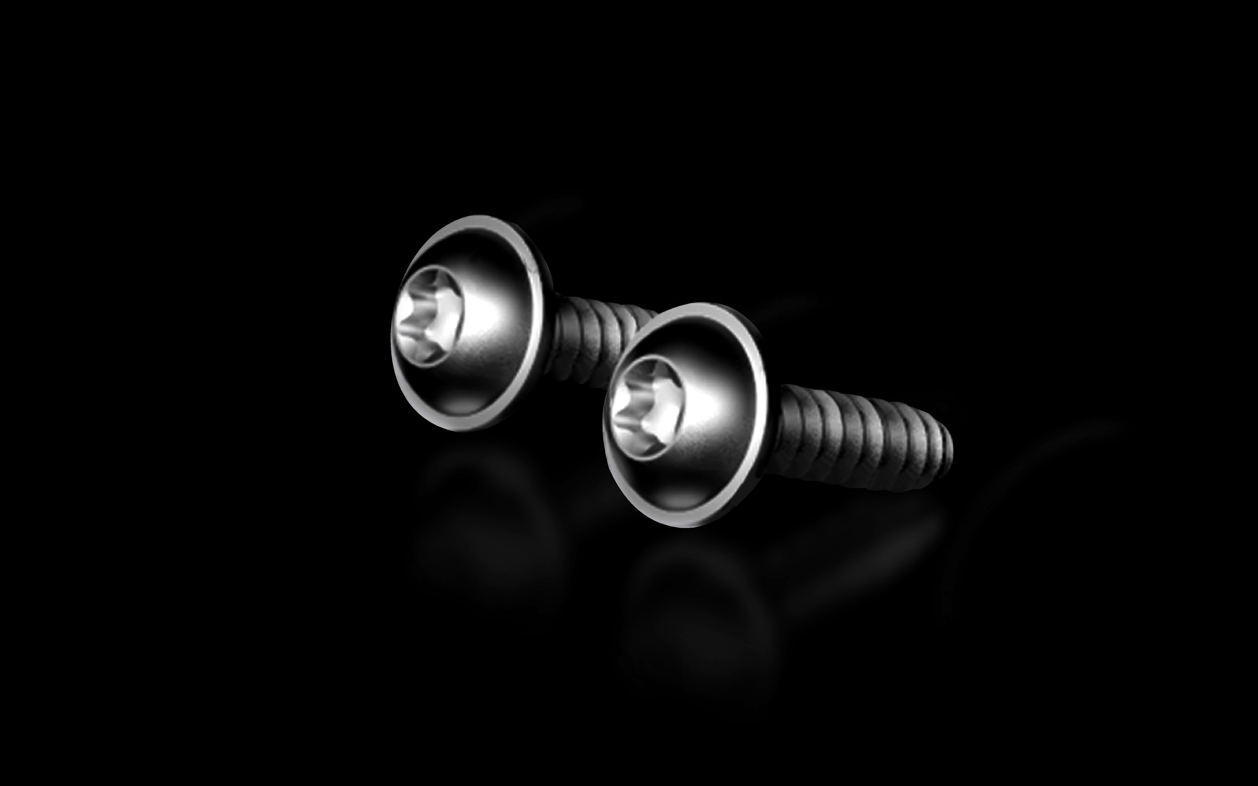 Rittal - Vis en plastique pour tableaux et module de base RiLineX