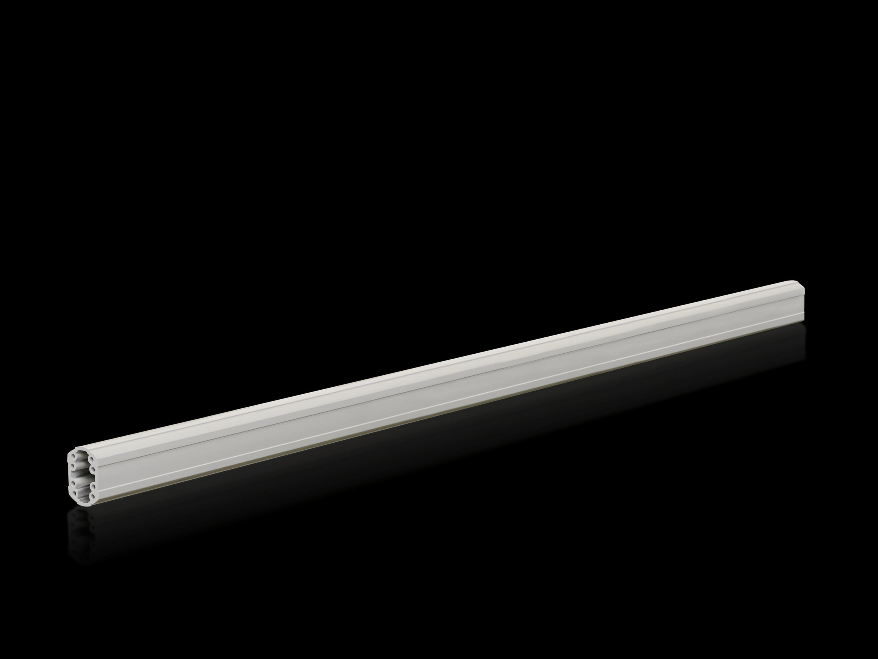 Rittal - Profilé porteur monobloc Confort Panel - Longueur 1000 mm