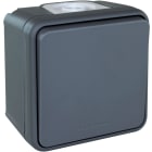 Eur Ohm - OXXO BP GRIS SAILLIE IP55