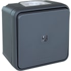Eur Ohm - OXXO BP lumineux GRIS SAILLIE IP55
