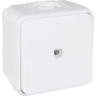 Eur Ohm - OXXO BP lumineux BLANC SAILLIE IP55