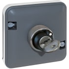 Eur Ohm - OXXO Inter à clef 2 poscompos GRIS IP55