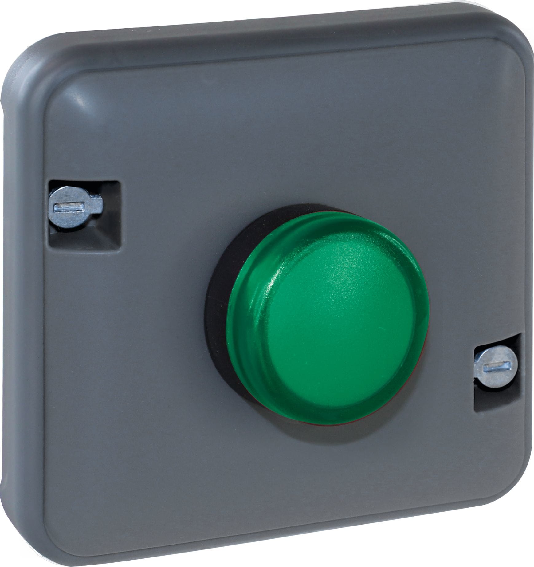 Eur Ohm - OXXO Voyant vert compos GRIS IP55