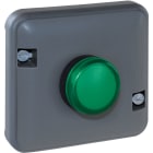 Eur Ohm - OXXO Voyant vert compos GRIS IP55