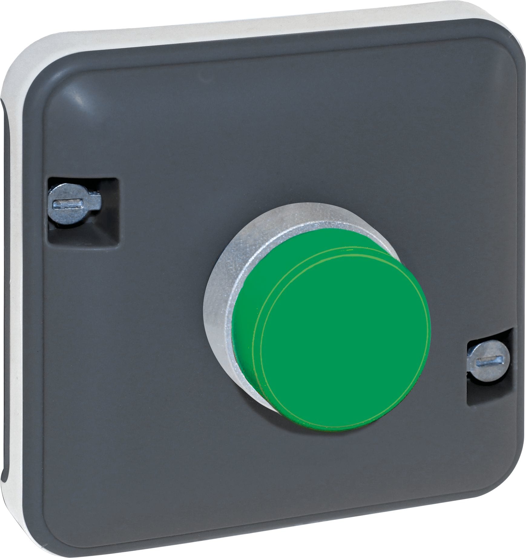 Eur Ohm - OXXO Voyant vert compos GRIS IP55