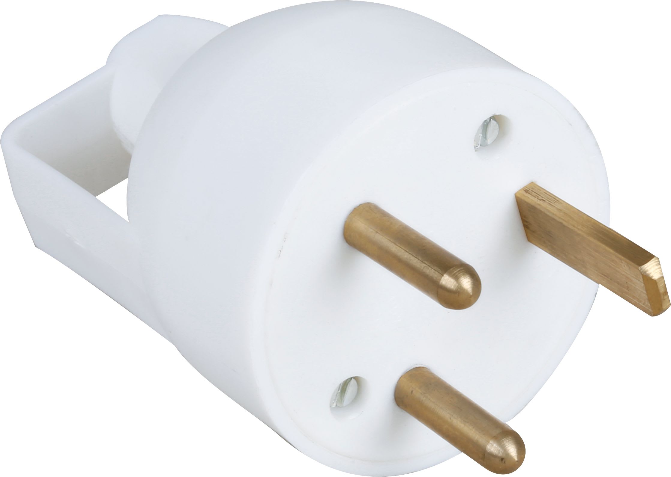 Eur Ohm - 20A male droite 2P+T  ann. blc