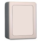 Acie Automatisme - Interface déportée 2 relais, 250 codes, pour clavier su485