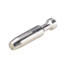 Wieland - contact femelle