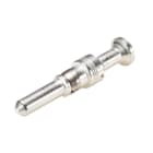 Wieland - contact mâle