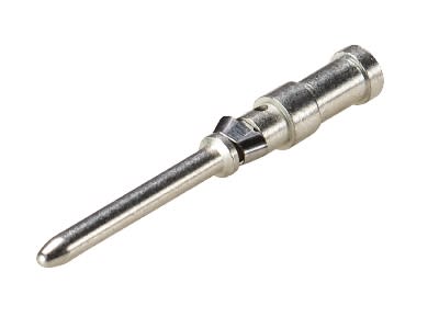 Wieland - contact mâle