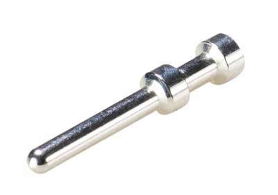 Wieland - contact mâle