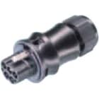 Wieland - connecteur RST20i5 mâle à sertir 13-18mm Noir