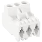 Wieland - connecteur rast5 femelle 7 pôles 8105 sortie horizontaleb c0 blanc no flame