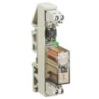Wieland - module relais wrs-rel-1s-48v20m