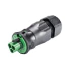 Wieland - Connecteur RST20i3 mâle à ressort 13-18mm vert