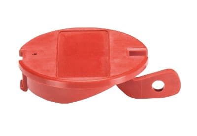 Wieland - COVER FEM CONN