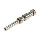Wieland - Contact mâle à sertir 2,5mm²