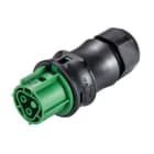Wieland - Connecteur RST20i2 femelle à vis vert 6-10mm