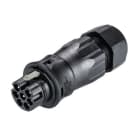 Wieland - Connecteur RST20i7 mâle à sertir 14-18mm noir (ss les contacts)