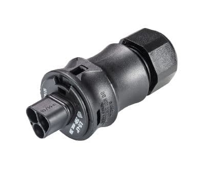 Wieland - MALE PART