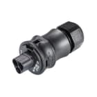 Wieland - MALE PART