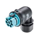 Wieland - Connecteur coudé RST20i7 mâle à vis 6-10mm turquoise