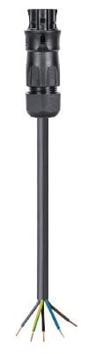 Wieland - Cordon RST20i5 5G2,5² HO5Z1Z1F 6m F/- noir ss halogène (Bca)