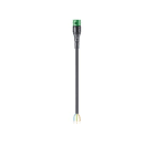 Wieland - Cordon RST20i3 3G2,5² HO5Z1Z1F 1m F/- vert ss halogène (Bca)