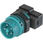 Wieland - Embase RST16i5 MOLA mâle à ressort turquoise avec joints sur chaque contacts