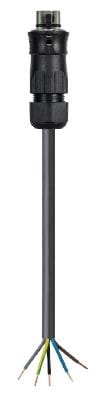 Wieland - Cordon RST25i5 2,5m M/- HO5Z1Z1-F 5G6² Gris béton