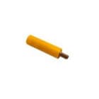 Wieland - fiche femelle sb 4 jaune