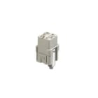 Wieland - bloc contacts femmin buc 5 25 ag-insert femelle