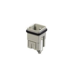 Wieland - bloc cont.males min stc 5 25 ag-insert mâle