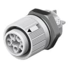 Wieland - embase femelle RST16i5 gris