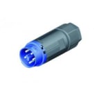 Wieland - connecteur mâle RST16i5 bleu clair