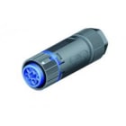 Wieland - connecteur femelle RST16i5 bleu clair