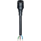 Wieland - cordon RST20i3 1m M/F 2,5² HO5VVF Vert (Eca)