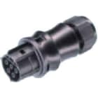 Wieland - connecteur RST20i5 femelle à sertir 10-14mm Marron