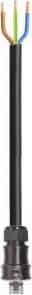 Wieland - cordon RST25i3 2m M/- 4² HO5VVF Gris foncé (Eca)