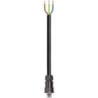 Wieland - cordon RST25i3 2m M/- 4² HO5VVF Gris foncé (Eca)