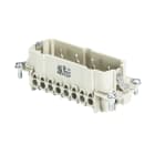 Wieland - bldc cont. males bas sts 6 2,5 64-insert mâle