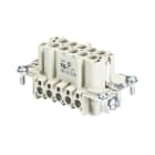 Wieland - bldc cont. males bas sts 10 2,5 69-insert mâle