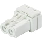 Wieland - connecteur GST15i2 femelle blanc