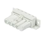 Wieland - connecteur GST15i4 femelle b1hb blanc