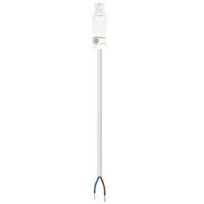 Wieland - cordon GST15i2 7m f/- 1,5² HO5VVf blanc (Eca)