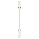 Wieland - cordon mâle GST18i3/femelle GST15i3 5m 1,5² HO5Z1Z1f blanc ss halogène (Eca)