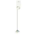 Wieland - cordon GST15i5 5m m/- 1,5² HO5VVf blanc (Eca)