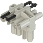 Wieland - répartiteur GST18i4 1E/2S en T Gris