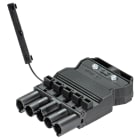 Wieland - connecteur GST18i5 mâle à Vis Noir