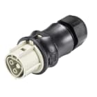 Wieland - connecteur RST20i2 femelle à vis 10-14mm Gris foncé